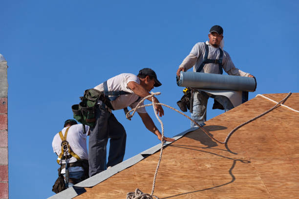 Best Shingle Roofing Installation  in Simpson, PA